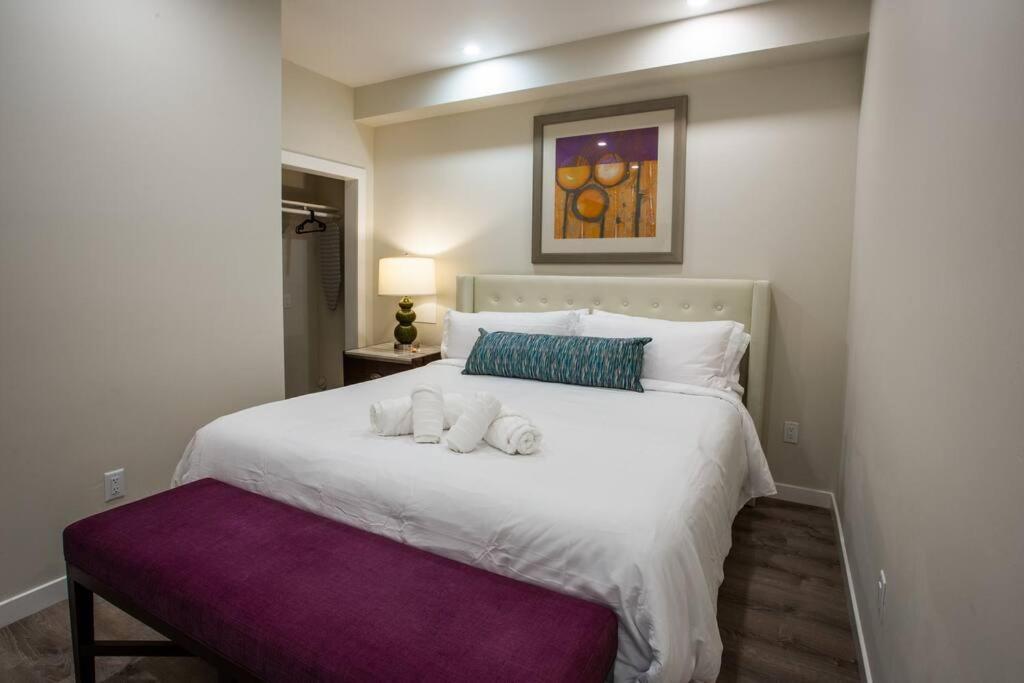 Spacious 1 Bedroom In Heart Of Appartement *